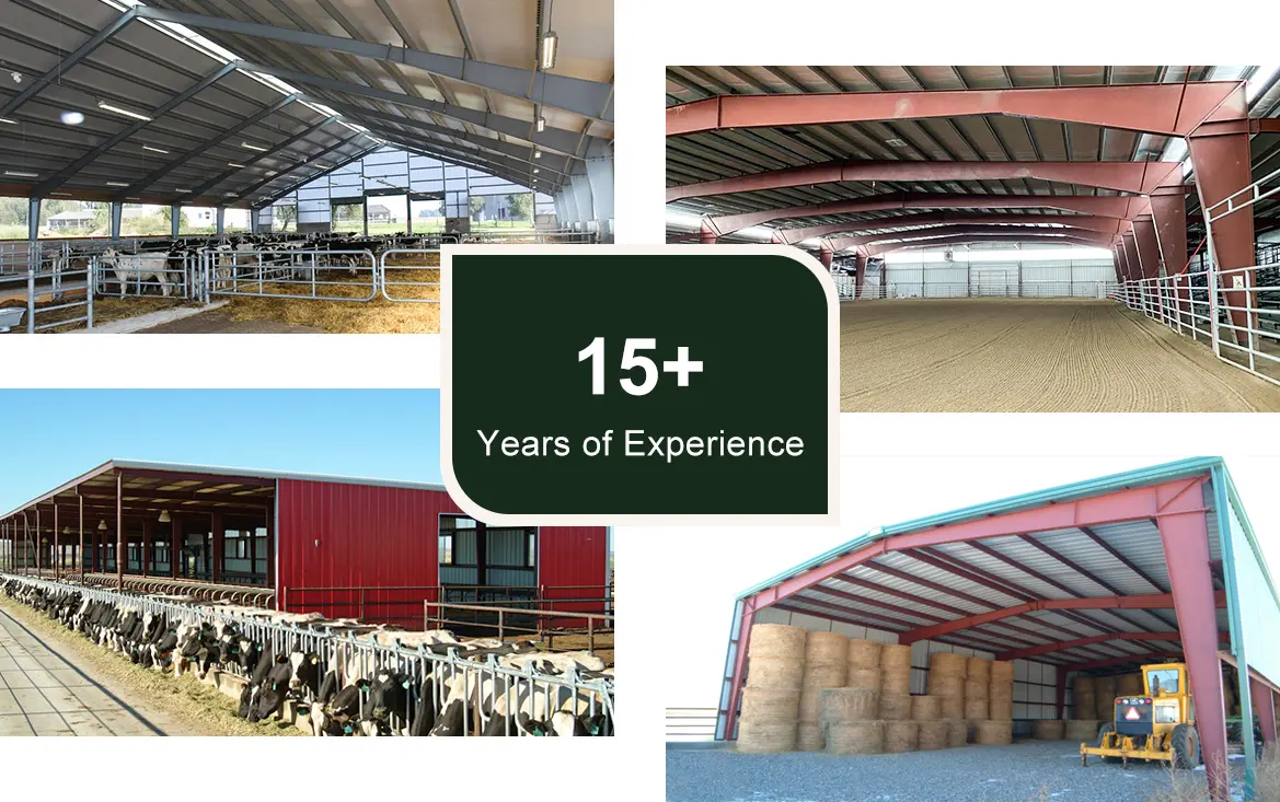 Steel structure farm building used for livestock housing