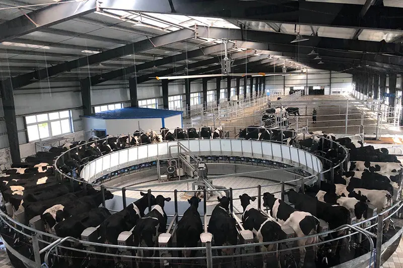 Vizsteel Steel Cattle Sheds