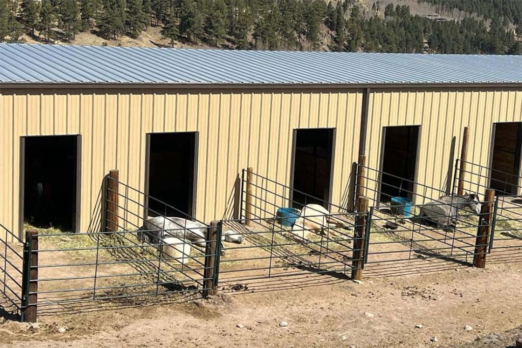 Steel horse barn with individual stall openings and exterior run-in pens for safe, organized daily horse care