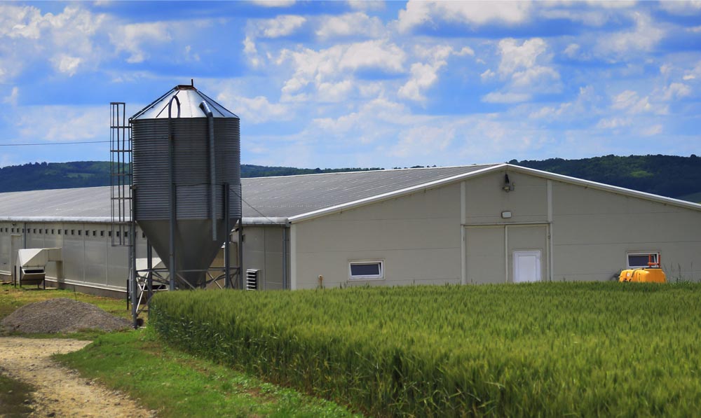 Agricultural Metal Buildings
